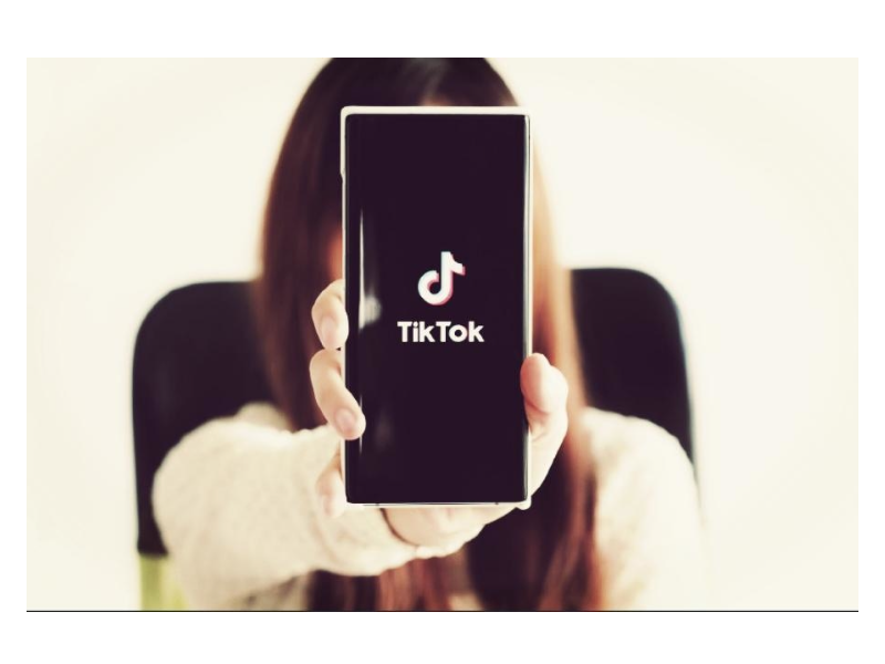 TikTok Video Saver