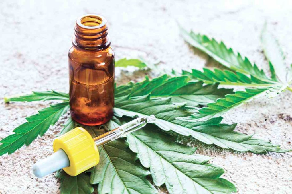 Cannabis